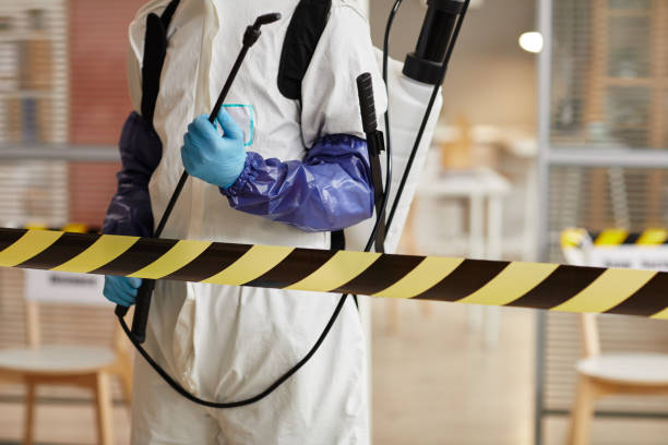 Professional Sewage Cleanup technician working in Lewiston, MN